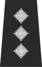 Chief Inspector Epaulette.png