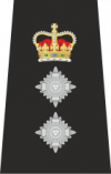 100px-Chief Epaulette.png