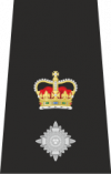 100px-Assistant Chief Epaulette.png