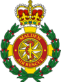 Malden-Air-Rescue-logo.png