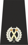 Assistant Chief Constable Epaulette .png