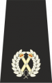 Assistant Chief Constable Epaulette .png