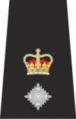 100px-Assistant Chief Epaulette.png