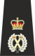 Chief Constable Epaulette.png