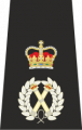 Chief Constable Epaulette.png