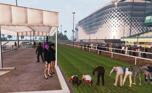 Casino Race Track.jpeg