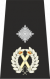 Deputy Chief Constable Epaulette.png
