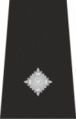 100px-Security Officer Epaulette.png